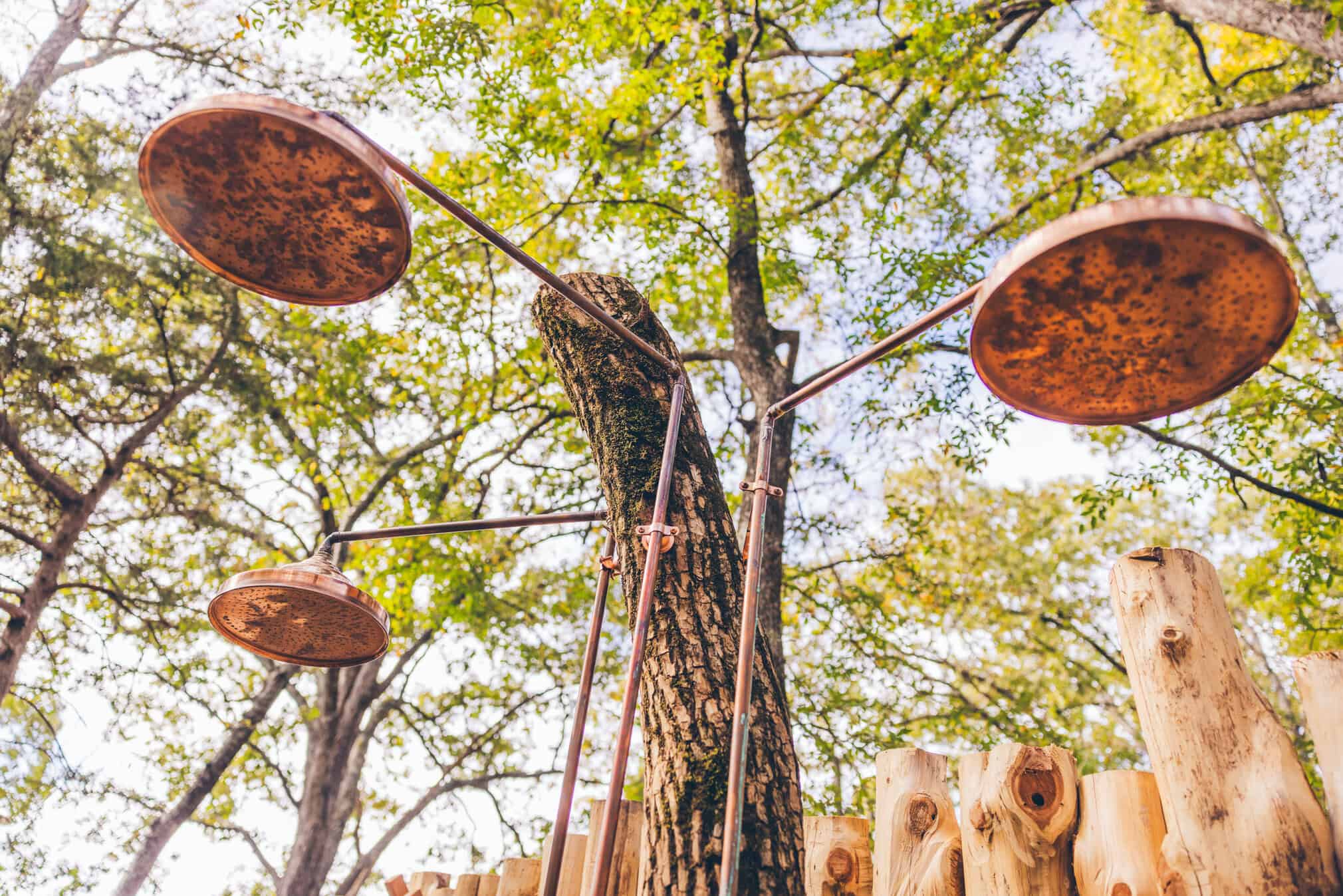 Photo by Iron Lotus Creative / Stephen Ironside svg+xml;charset=utf