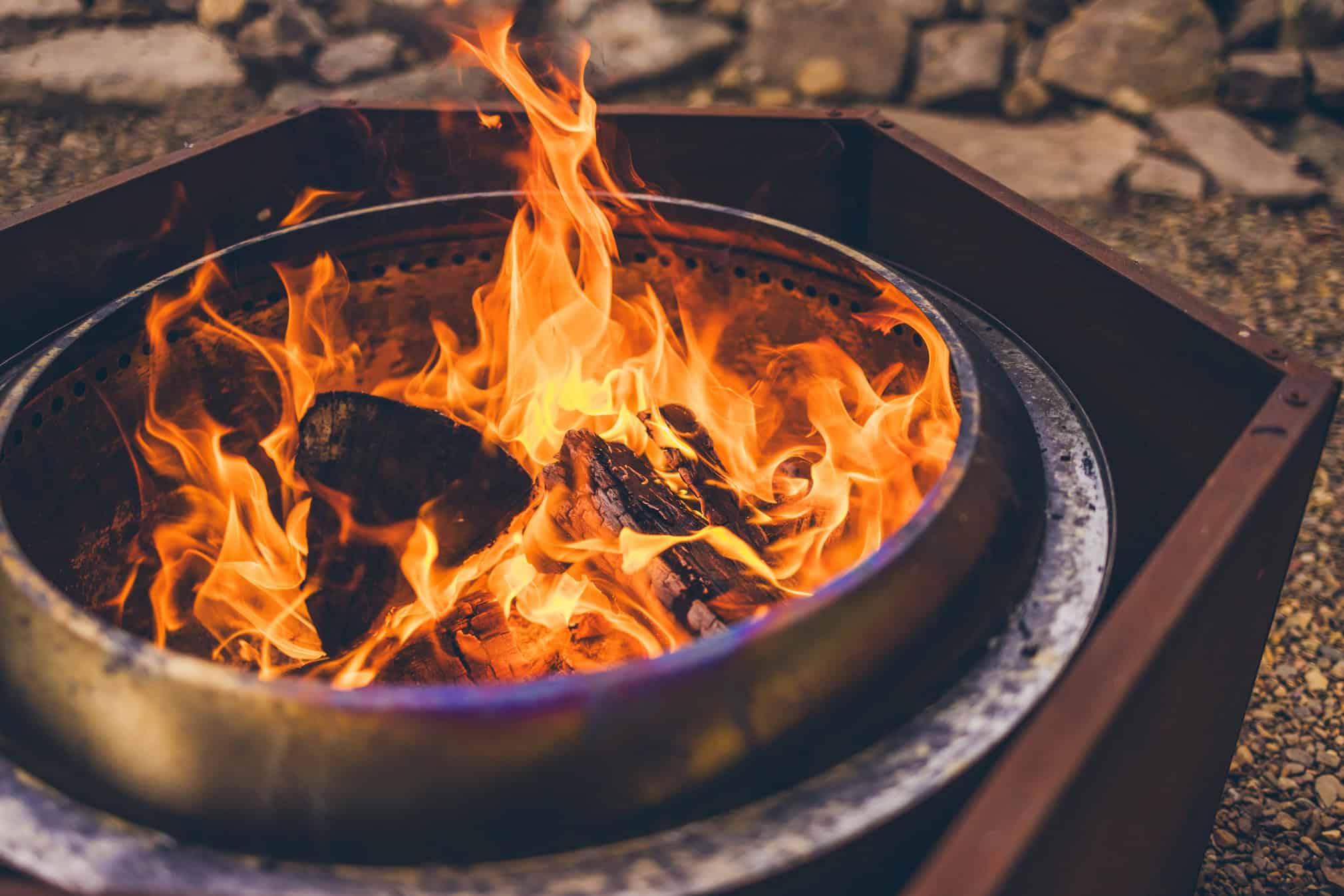 Photo by Iron Lotus Creative / Stephen Ironside svg+xml;charset=utf