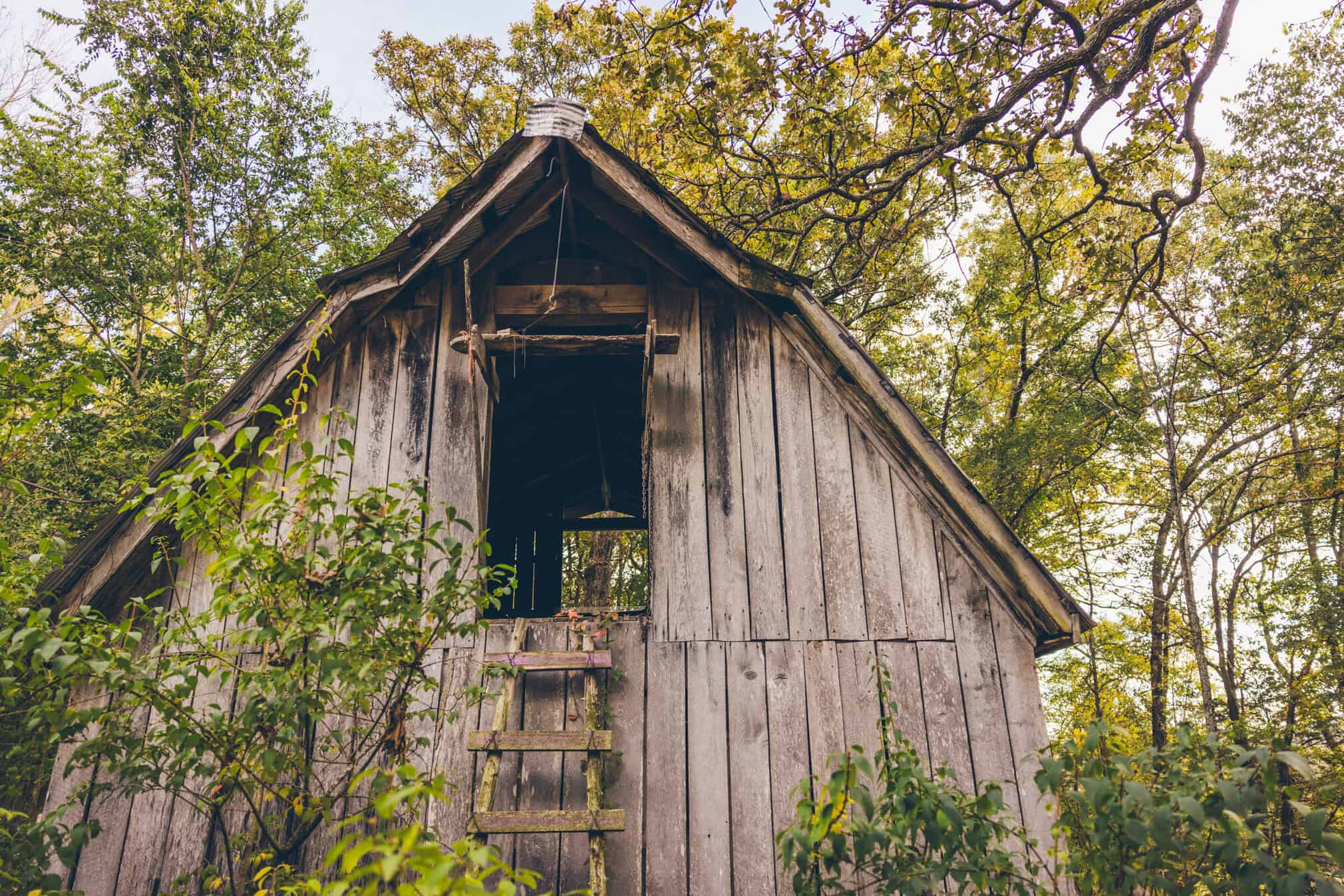 Photo by Iron Lotus Creative / Stephen Ironside svg+xml;charset=utf